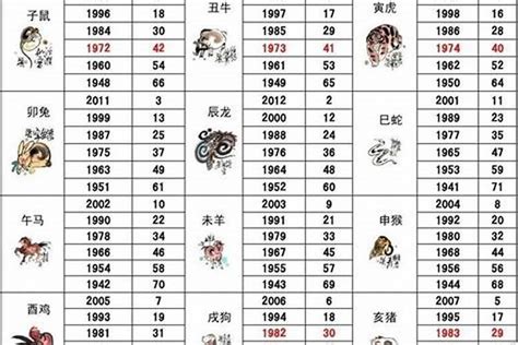 1985年五行|1985年出生是什么命运？什么五行？